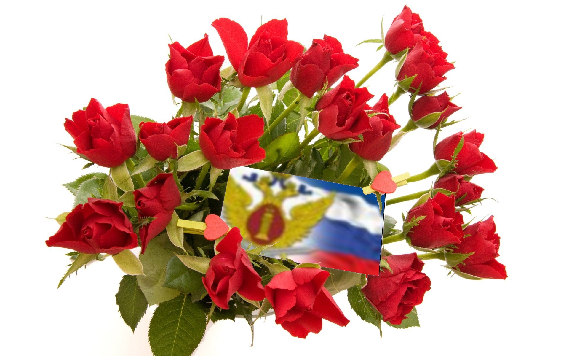 Примите самые теплые поздравления Примите самые теплые поздравления